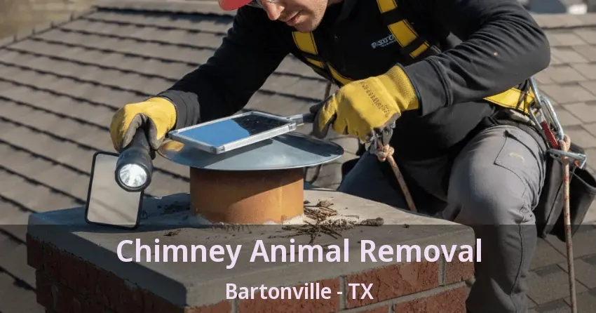 Chimney Animal Removal Bartonville - TX