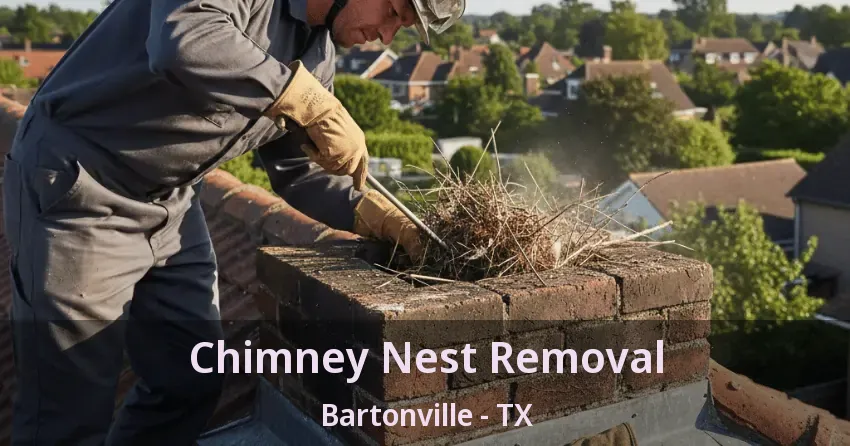 Chimney Nest Removal Bartonville - TX Chimney Nest Removal Bartonville - TX