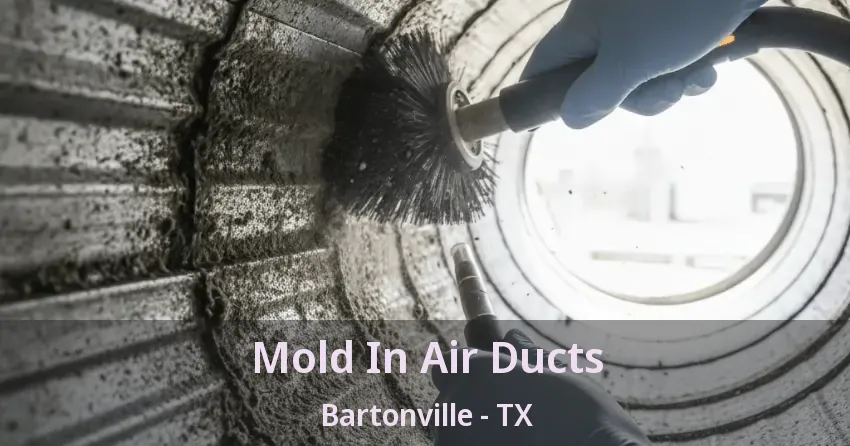 Mold In Air Ducts Bartonville - TX