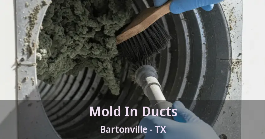 Mold In Ducts Bartonville - TX Mold In Ducts Bartonville - TX