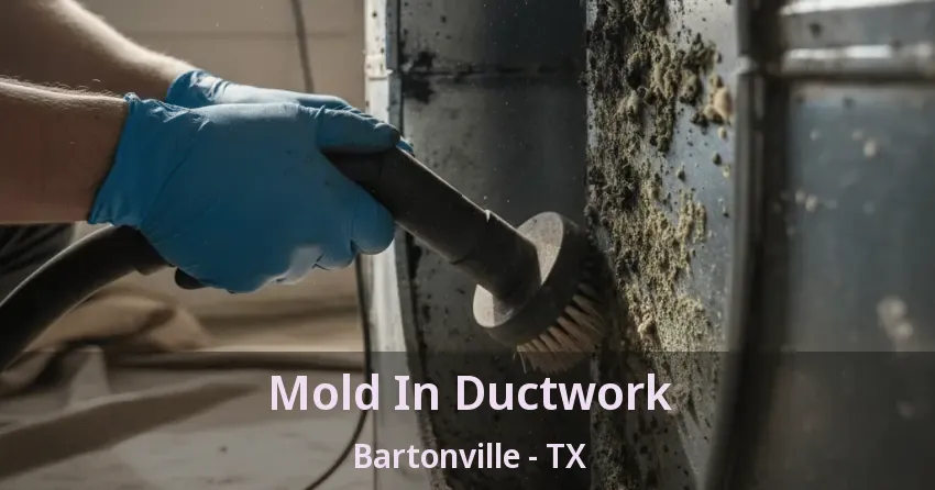 Mold In Ductwork Bartonville - TX