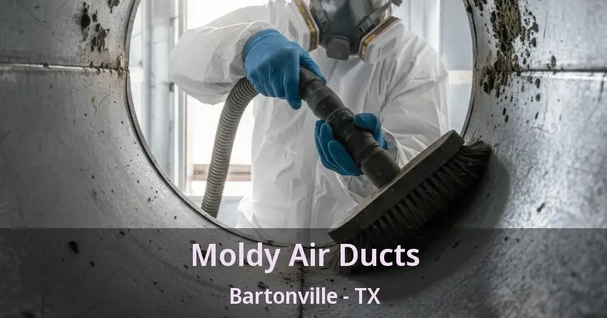 Moldy Air Ducts Bartonville - TX